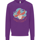 Sagittarius Dinosaur Pterosaurs Star Sign Kids Sweatshirt Jumper Purple