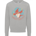 Sagittarius Dinosaur Pterosaurs Star Sign Kids Sweatshirt Jumper Sports Grey