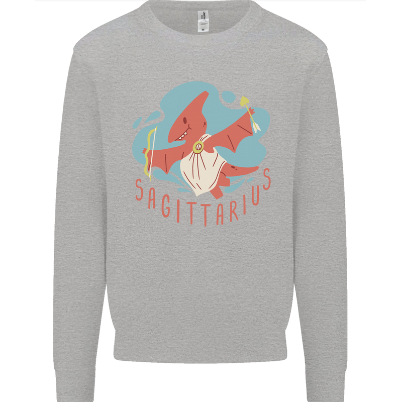 Sagittarius Dinosaur Pterosaurs Star Sign Kids Sweatshirt Jumper Sports Grey