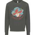 Sagittarius Dinosaur Pterosaurs Star Sign Kids Sweatshirt Jumper Storm Grey