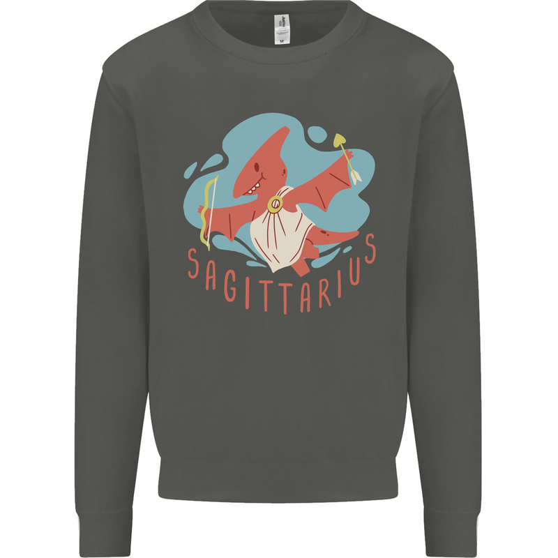 Sagittarius Dinosaur Pterosaurs Star Sign Kids Sweatshirt Jumper Storm Grey