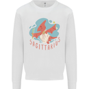 Sagittarius Dinosaur Pterosaurs Star Sign Kids Sweatshirt Jumper White