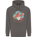 Sagittarius Dinosaur Pterosaurs Star Sign Mens 80% Cotton Hoodie Charcoal