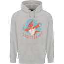 Sagittarius Dinosaur Pterosaurs Star Sign Mens 80% Cotton Hoodie Sports Grey