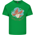 Sagittarius Dinosaur Pterosaurs Star Sign Mens Cotton T-Shirt Tee Top Irish Green