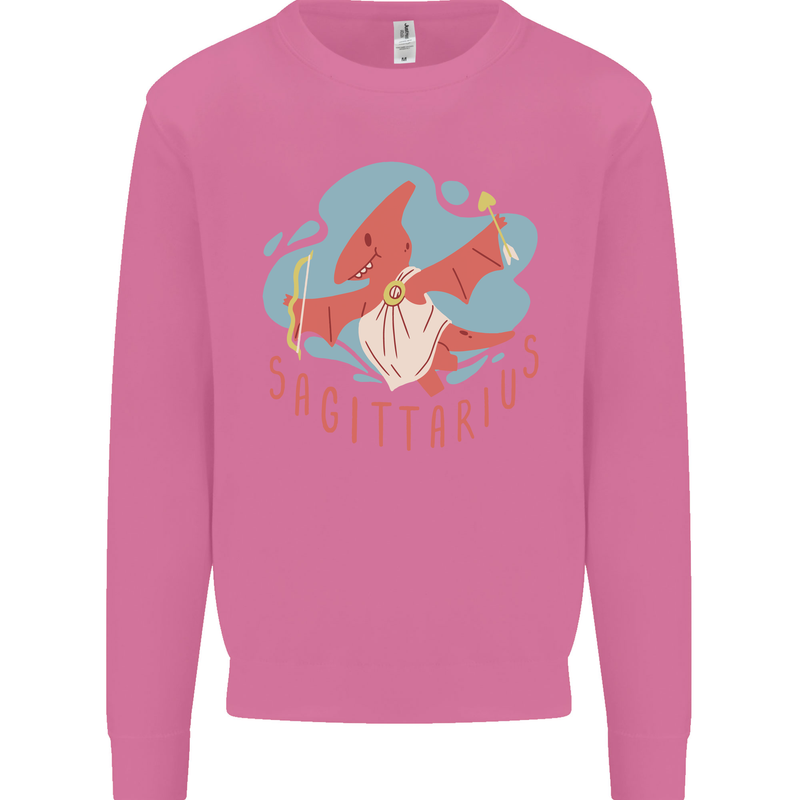Sagittarius Dinosaur Pterosaurs Star Sign Mens Sweatshirt Jumper Azalea