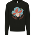 Sagittarius Dinosaur Pterosaurs Star Sign Mens Sweatshirt Jumper Black