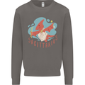 Sagittarius Dinosaur Pterosaurs Star Sign Mens Sweatshirt Jumper Charcoal