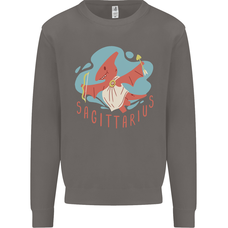 Sagittarius Dinosaur Pterosaurs Star Sign Mens Sweatshirt Jumper Charcoal
