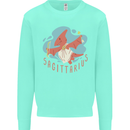 Sagittarius Dinosaur Pterosaurs Star Sign Mens Sweatshirt Jumper Peppermint