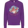 Sagittarius Dinosaur Pterosaurs Star Sign Mens Sweatshirt Jumper Purple
