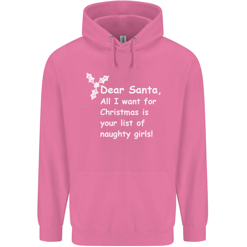 Santa Claus Naughty Girls Funny Christmas Mens 80% Cotton Hoodie Azelea