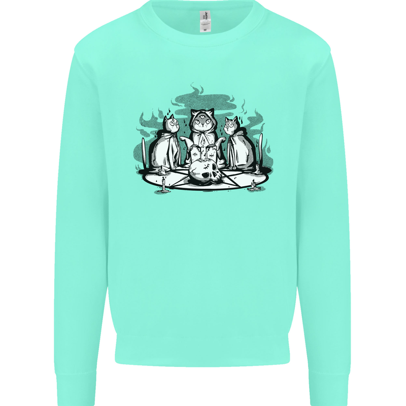 Satanic Cats Black Magic Pentacle Kids Sweatshirt Jumper Peppermint