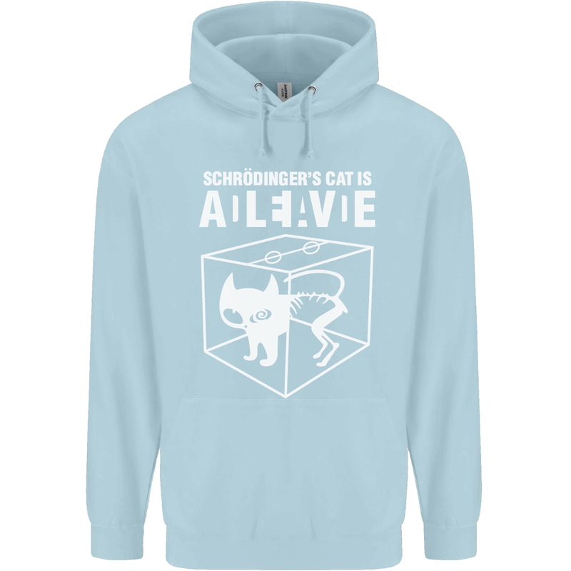 Schrodinger's Cat Science Geek Nerd Childrens Kids Hoodie Light Blue