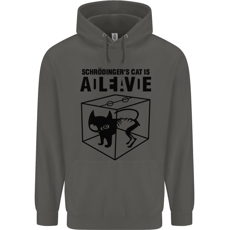 Schrodinger's Cat Science Geek Nerd Childrens Kids Hoodie Storm Grey