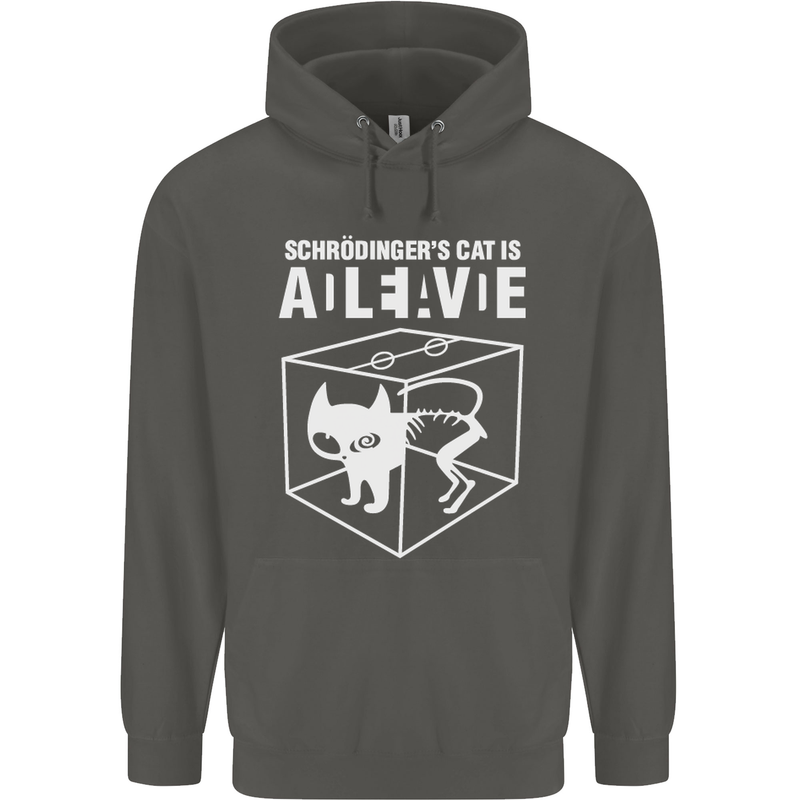 Schrodinger's Cat Science Geek Nerd Childrens Kids Hoodie Storm Grey