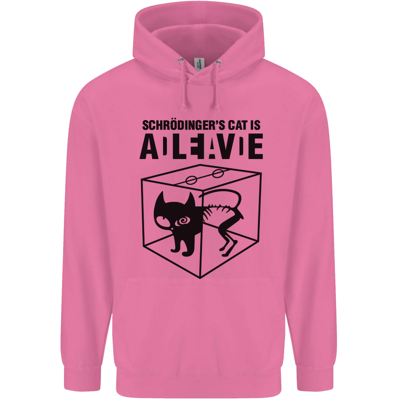 Schrodinger's Cat Science Geek Nerd Mens 80% Cotton Hoodie Azelea