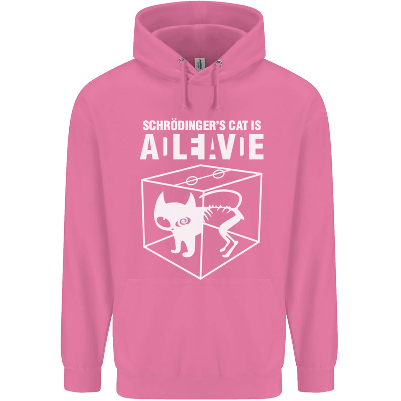 Schrodinger's Cat Science Geek Nerd Mens 80% Cotton Hoodie Azelea