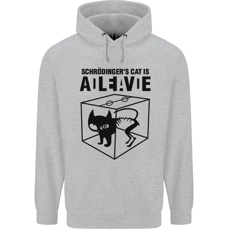 Schrodinger's Cat Science Geek Nerd Mens 80% Cotton Hoodie Sports Grey
