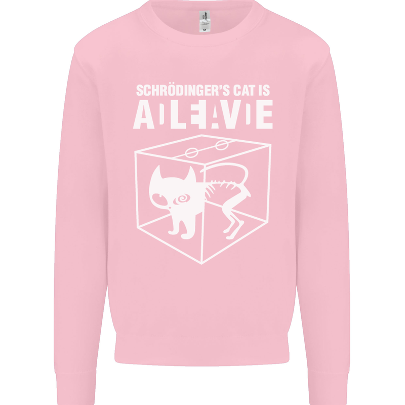 Schrodinger's Cat Science Geek Nerd Mens Sweatshirt Jumper Light Pink