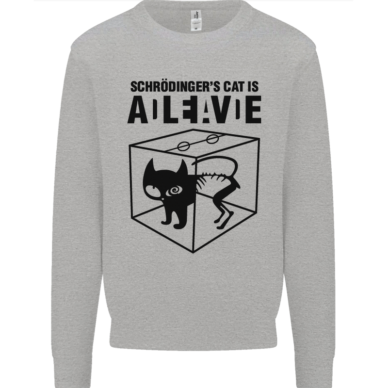 Schrodinger's Cat Science Geek Nerd Mens Sweatshirt Jumper Sports Grey