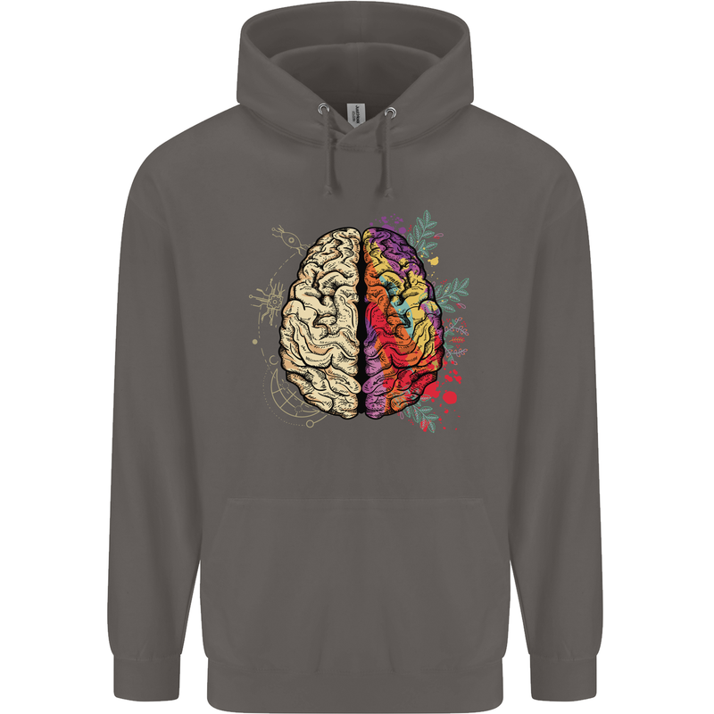 Science vs Artistic Brain Art IQ Physics Mens 80% Cotton Hoodie Charcoal