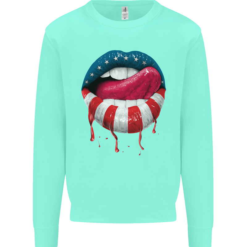 Sexy USA Flag Lips America July 4th Mens Sweatshirt Jumper Peppermint