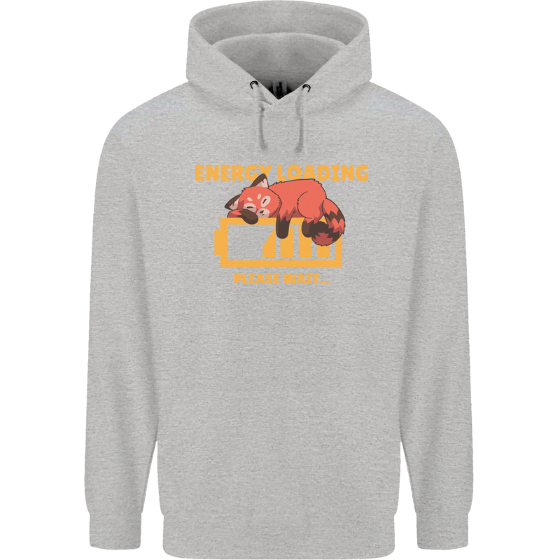 Sleeping Fox Energy Funny Lazy Anti-Social Childrens Kids Hoodie Sports Grey