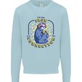 Sloth I'm Not Slow Funny Gaming Gamer Mens Sweatshirt Jumper Light Blue