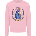 Sloth I'm Not Slow Funny Gaming Gamer Mens Sweatshirt Jumper Light Pink