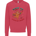 Sloth Wake Me Up When It's Christmas Mens Sweatshirt Jumper Heliconia
