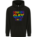 Sounds Gay I'm in Funny LGBT Mens 80% Cotton Hoodie Black