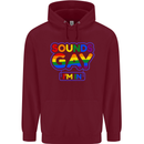 Sounds Gay I'm in Funny LGBT Mens 80% Cotton Hoodie Maroon