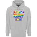 Sounds Gay I'm in Funny LGBT Mens 80% Cotton Hoodie Sports Grey