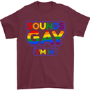 Sounds Gay I'm in Funny LGBT Mens T-Shirt Cotton Gildan Maroon