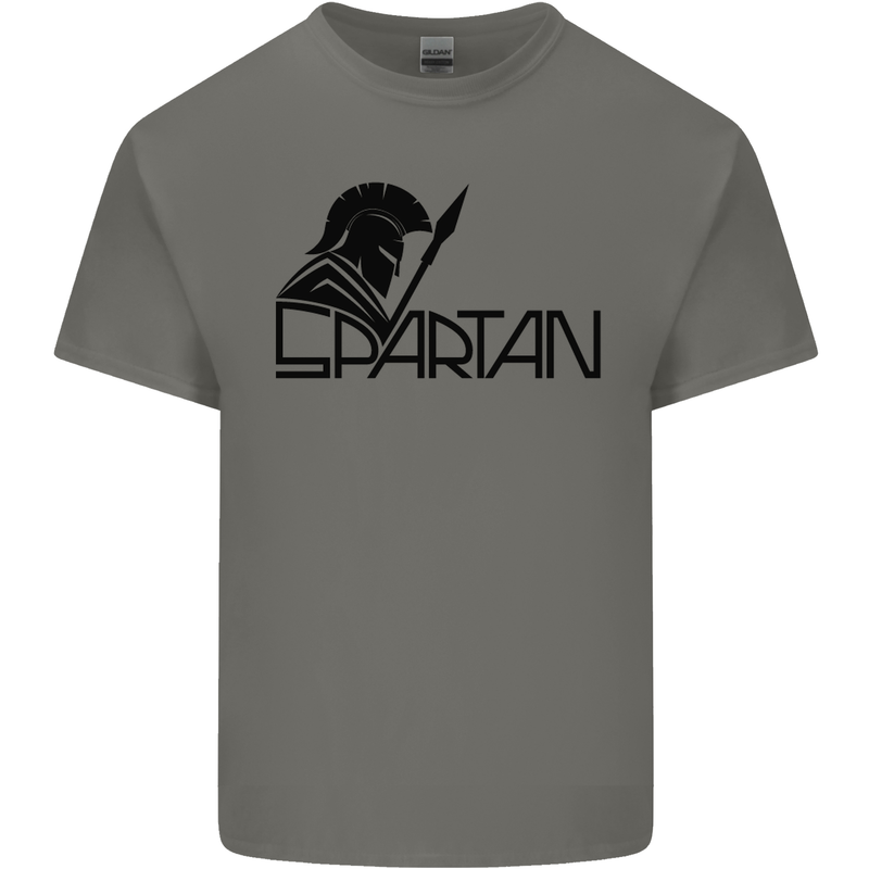 Spartan Gym Training Top Bodybuilding Mens Cotton T-Shirt Tee Top Charcoal
