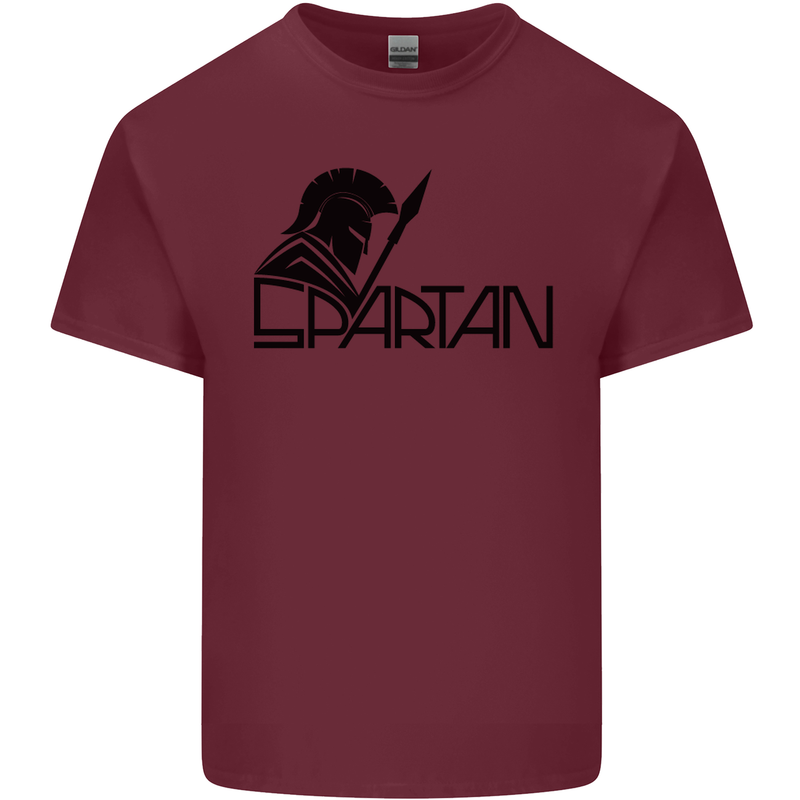Spartan Gym Training Top Bodybuilding Mens Cotton T-Shirt Tee Top Maroon
