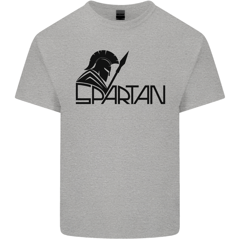 Spartan Gym Training Top Bodybuilding Mens Cotton T-Shirt Tee Top Sports Grey