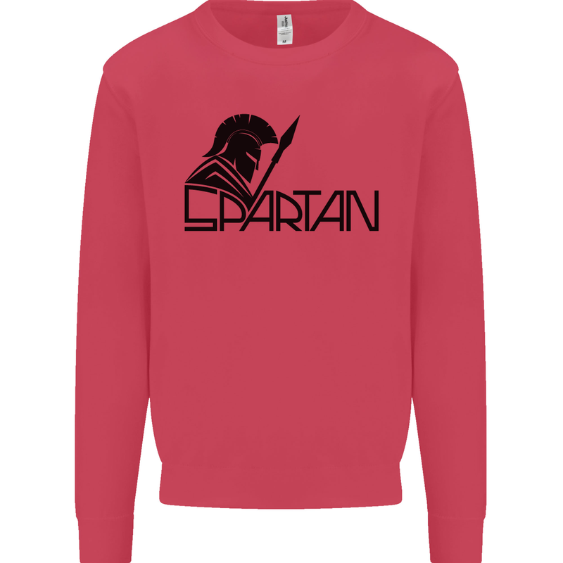 Spartan Gym Training Top Bodybuilding Mens Sweatshirt Jumper Heliconia