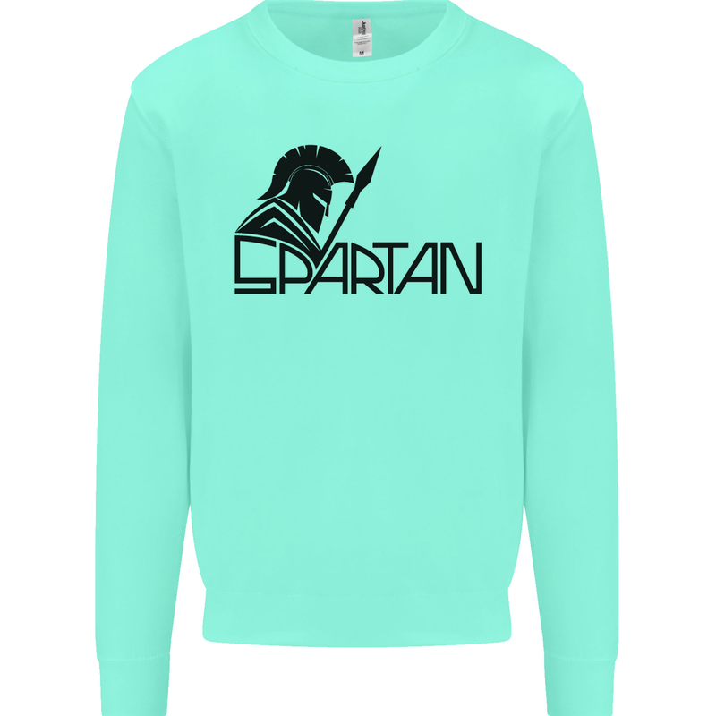 Spartan Gym Training Top Bodybuilding Mens Sweatshirt Jumper Peppermint