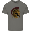 Spartan Helmet Gym Bodybuilding Training Mens Cotton T-Shirt Tee Top Charcoal