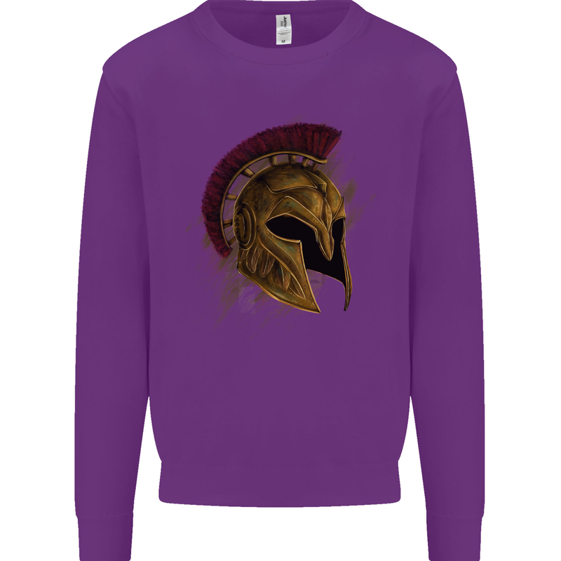 Spartan Helmet Gym Bodybuilding Training Mens Sweatshirt Jumper Purple