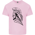 Spartan Helmet Training Bodybuilding MMA Mens Cotton T-Shirt Tee Top Light Pink