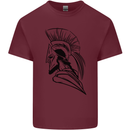 Spartan Helmet Training Bodybuilding MMA Mens Cotton T-Shirt Tee Top Maroon