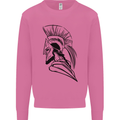 Spartan Helmet Training Bodybuilding MMA Mens Sweatshirt Jumper Azalea