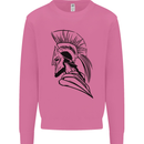 Spartan Helmet Training Bodybuilding MMA Mens Sweatshirt Jumper Azalea