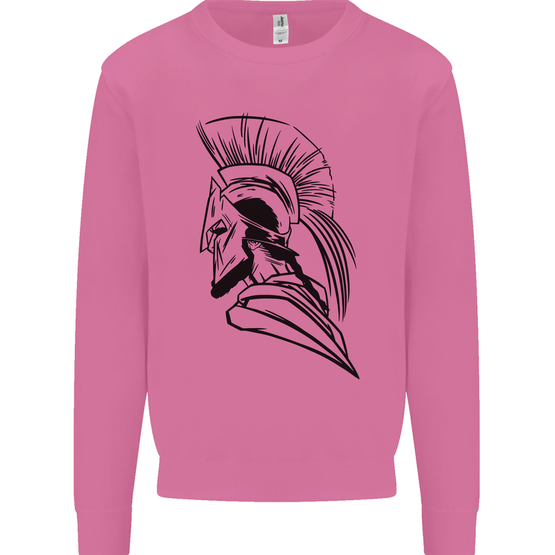 Spartan Helmet Training Bodybuilding MMA Mens Sweatshirt Jumper Azalea