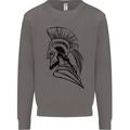 Spartan Helmet Training Bodybuilding MMA Mens Sweatshirt Jumper Charcoal