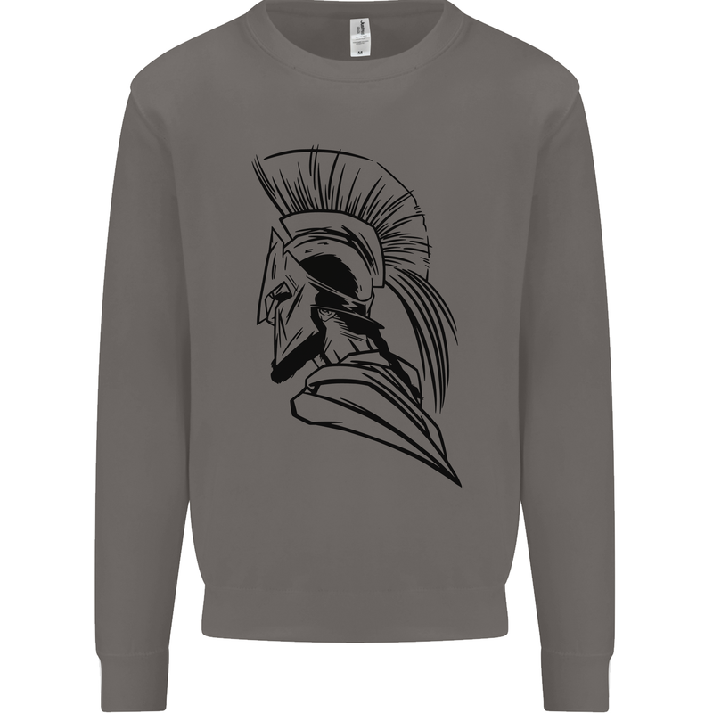 Spartan Helmet Training Bodybuilding MMA Mens Sweatshirt Jumper Charcoal