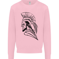 Spartan Helmet Training Bodybuilding MMA Mens Sweatshirt Jumper Light Pink